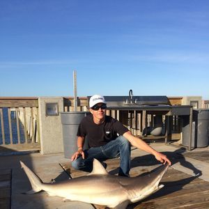 Meet your Posher, Garrett